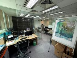 Tan Eng Kiam Building (D1), Office #540035271